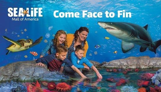 SEA LIFE at Mall of America
